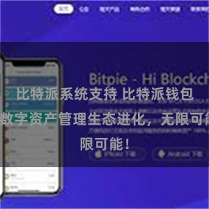 比特派系统支持 比特派钱包：数字资产管理生态进化，无限可能！