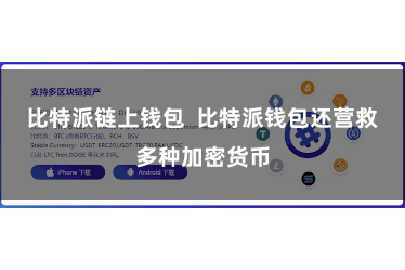 比特派链上钱包  比特派钱包还营救多种加密货币